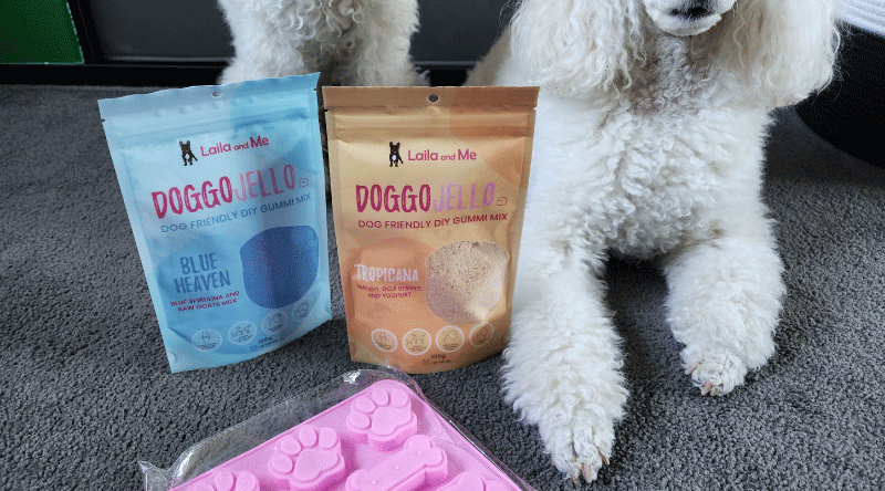 Doggo Jello - DIY Jelly Mix for your Dog!