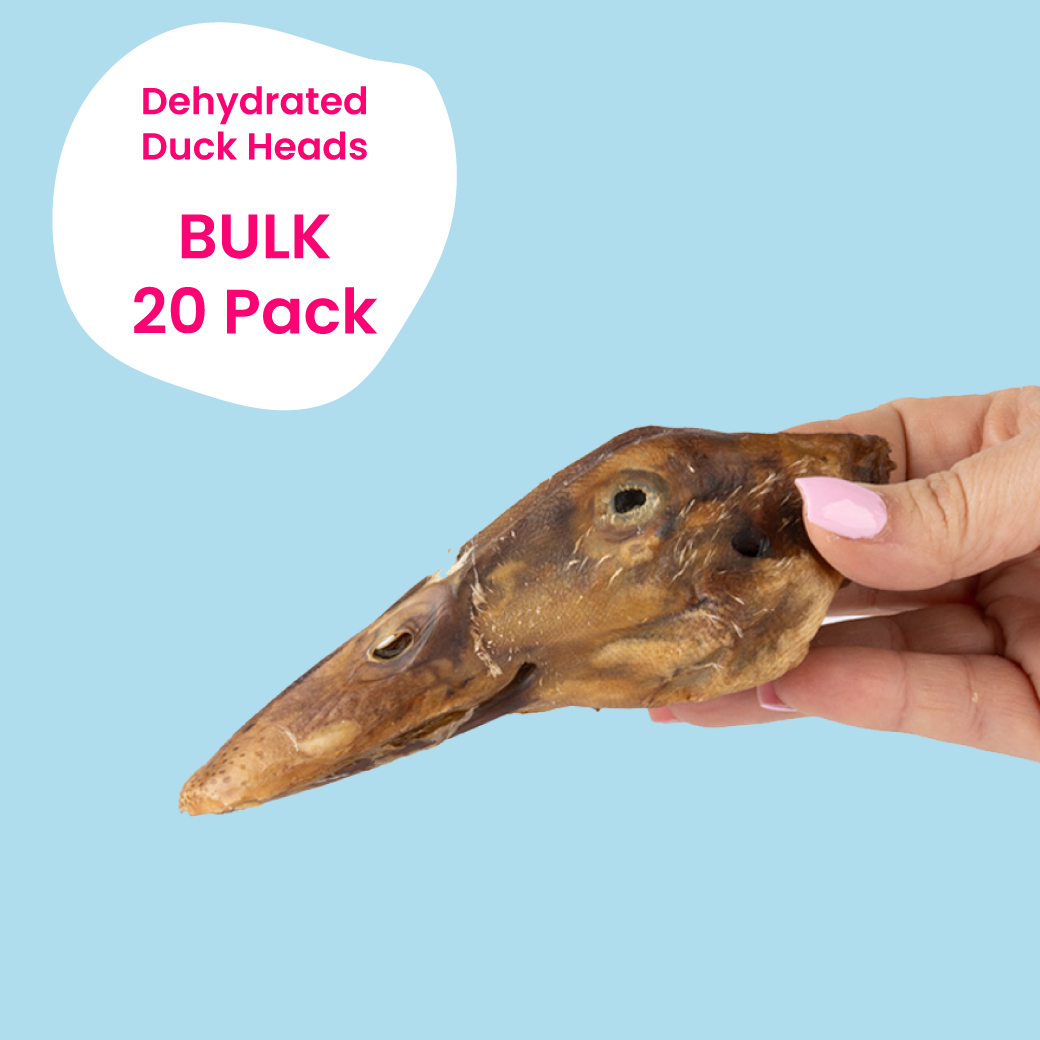 Bulk Duck Heads (Unpackaged) 20 pack