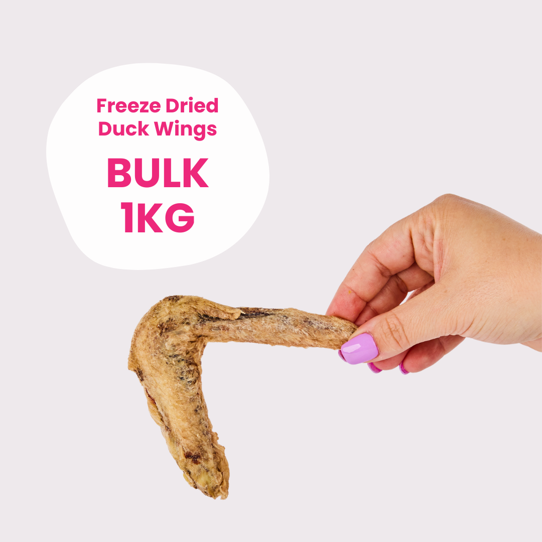 Bulk Freeze Dried Duck Wings (Unpackaged)