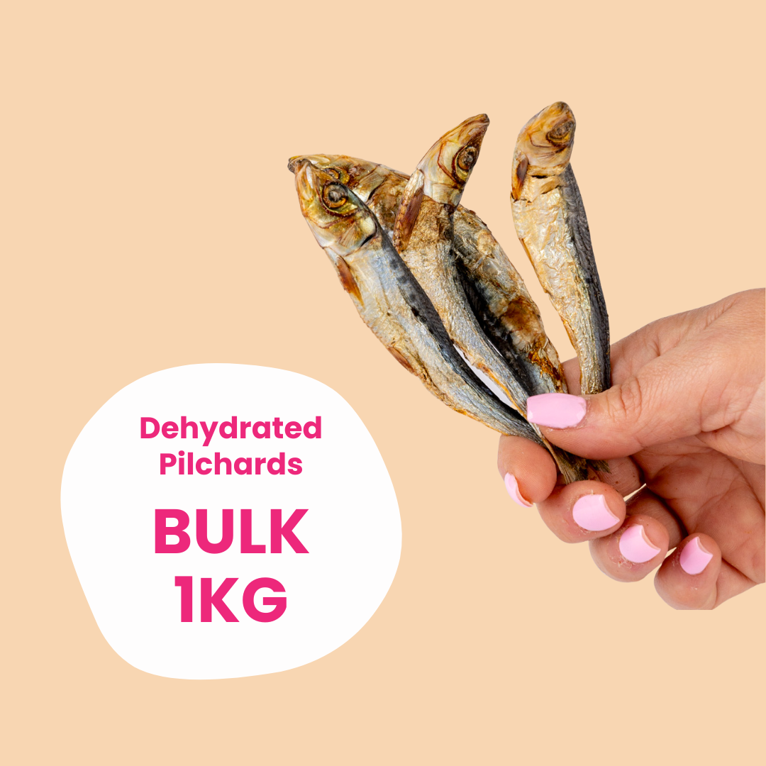 Bulk Pilchards (Unpackaged)