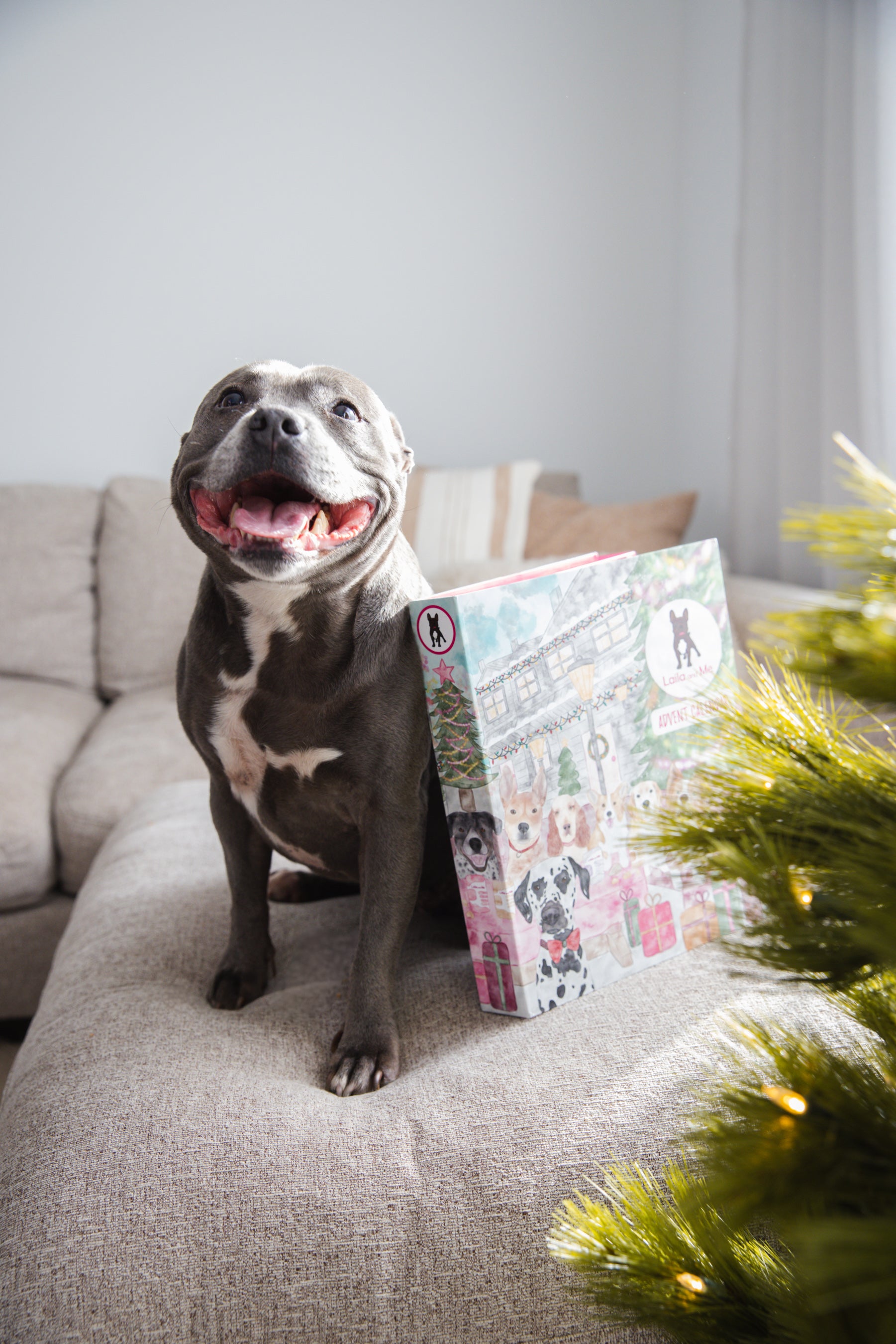 2024 Dog Advent Calendar