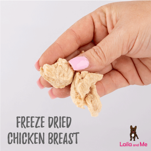 Bulk Freeze Dried Chicken Breast Treats (Unpackaged)