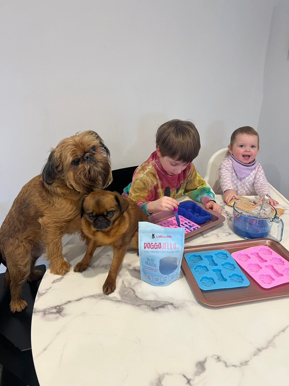 Doggo Jello DIY Gummi Dog Treats by Laila and Me. DIY Make your Own healthy dog gummy treats 