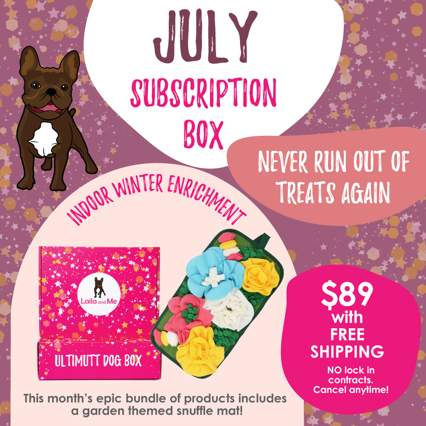Ultimutt Dog Box | Monthly Subscription Box