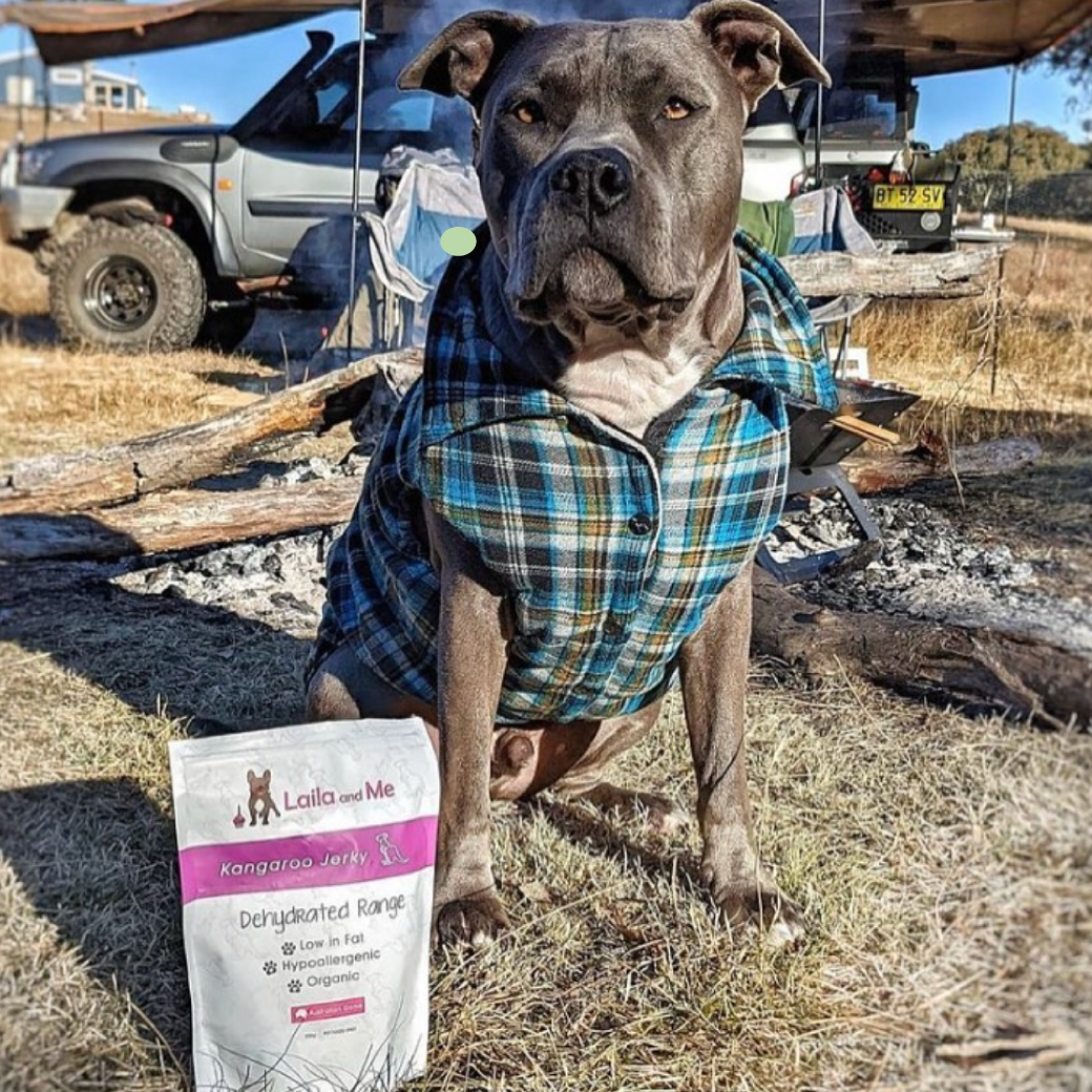 Kangaroo jerky for dogs hotsell