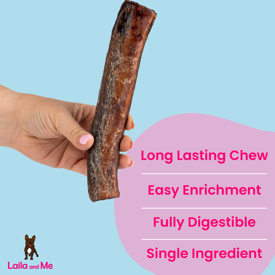 Long Lasting Bully Stick for Dogs Laila and Me