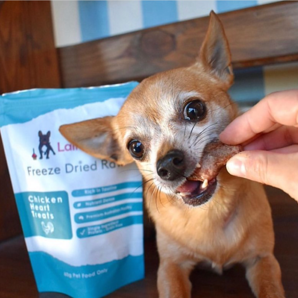 Laila and Me Healthy Affordable High Quality Safe Dog Treats All Australian Made Dog Treats Freeze Dried Raw Chicken Hearts