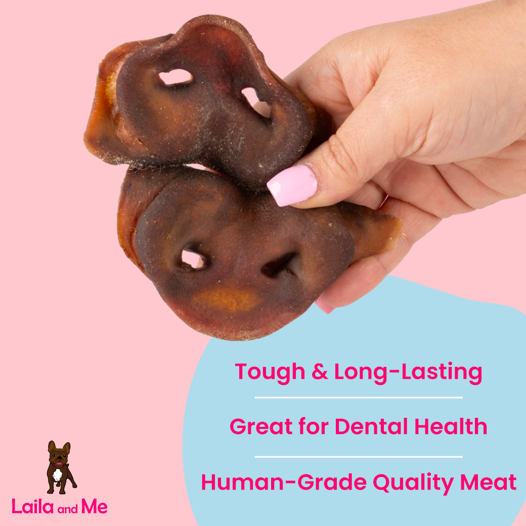 Dehydrated Pig Snout Dog Treat by Laila and Me 