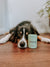 Calming Dog Supplement