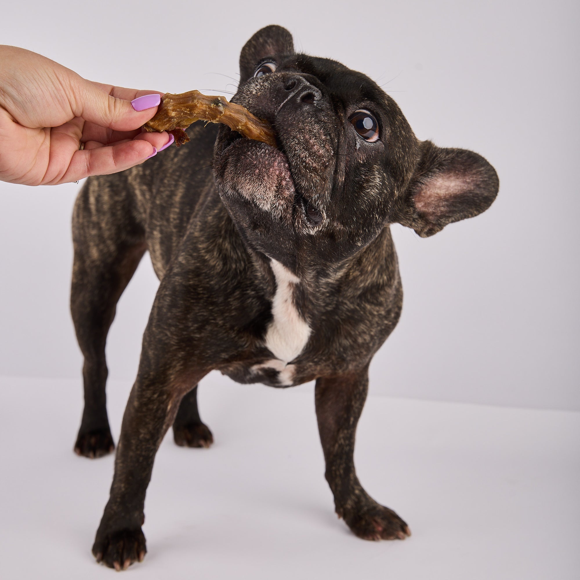 high value dog treats made in Australia by Laila and Me