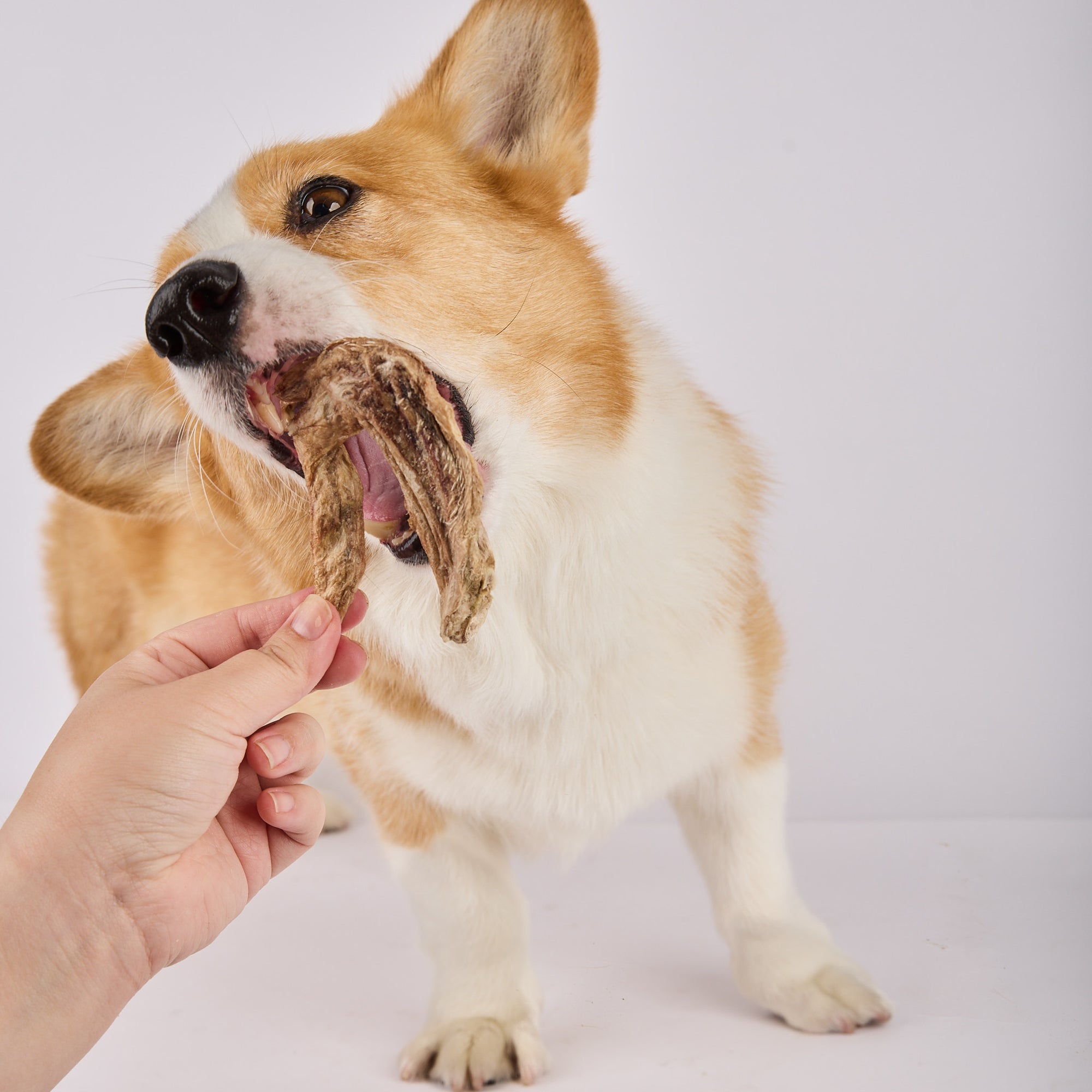 freeze dried duck dental chews by Laila and me