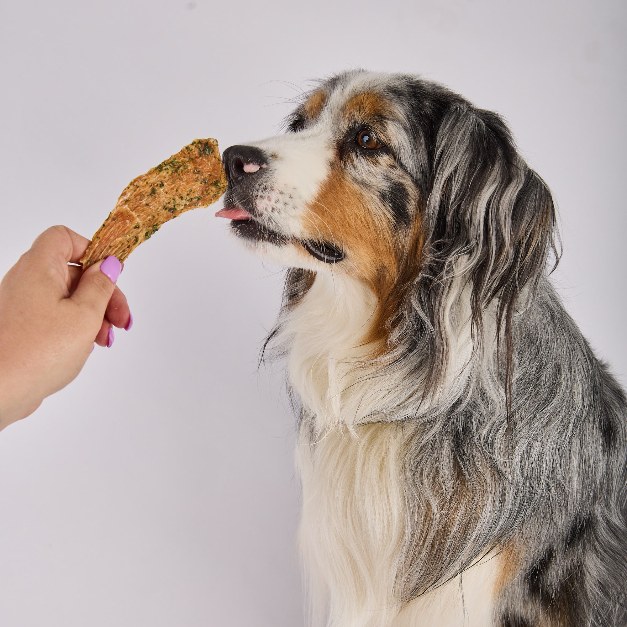 Parsley Chicken Jerky