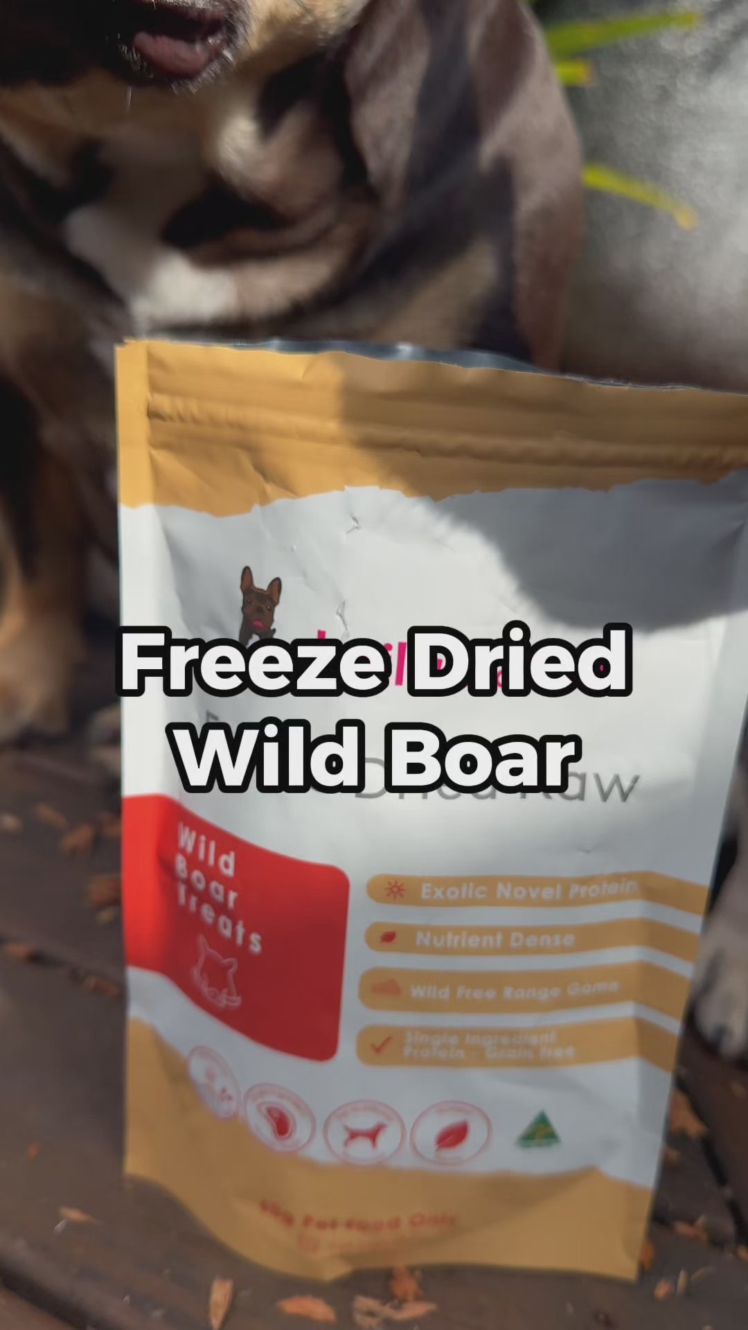 Freeze Dried Raw Wild Boar Treats