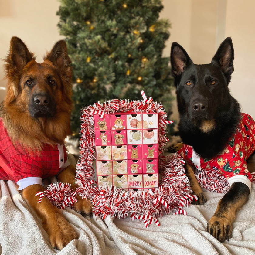 Christmas Advent Calendar for Dogs Laila and Me